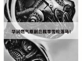 华润燃气原副总裁李雪松落马！